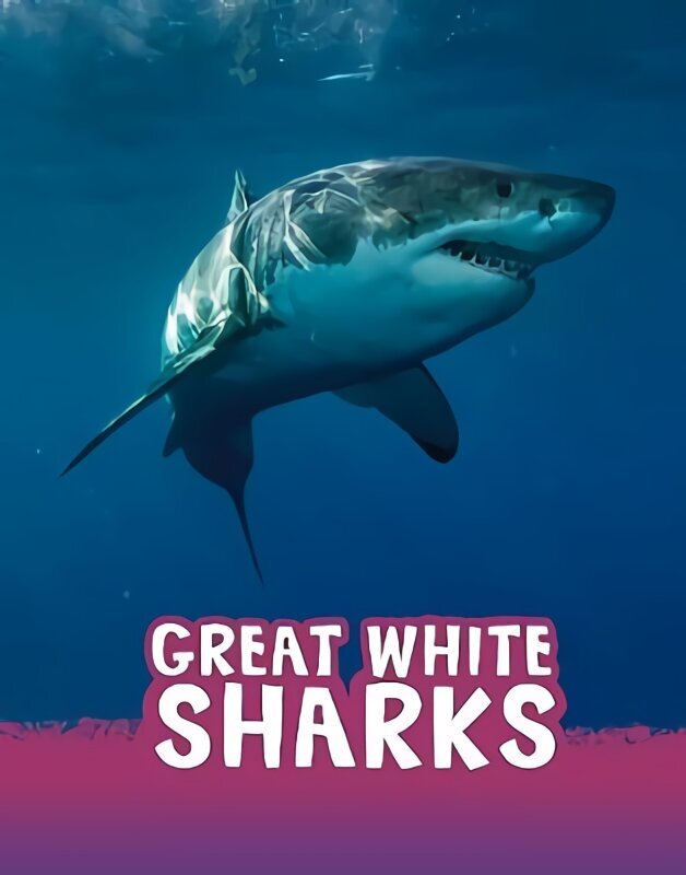 Great White Sharks cena un informācija | Grāmatas pusaudžiem un jauniešiem | 220.lv