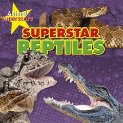 Reptile Superstars cena un informācija | Grāmatas pusaudžiem un jauniešiem | 220.lv