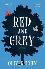 Red and Grey цена и информация | Книги для подростков  | 220.lv