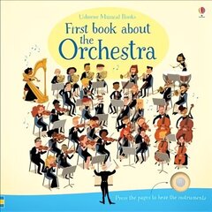 First Book about the Orchestra цена и информация | Книги для подростков и молодежи | 220.lv