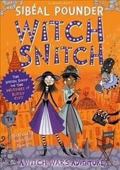 Witch Snitch: The Inside Scoop on the Witches of Ritzy City cena un informācija | Grāmatas pusaudžiem un jauniešiem | 220.lv