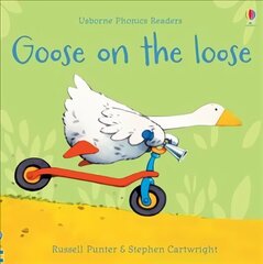 Goose on the loose цена и информация | Книги для подростков и молодежи | 220.lv