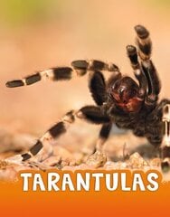 Tarantulas цена и информация | Книги для подростков  | 220.lv