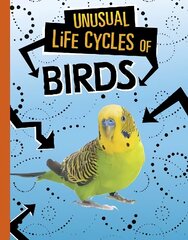 Unusual Life Cycles of Birds цена и информация | Книги для подростков  | 220.lv