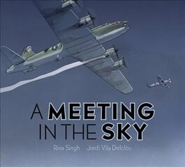 Meeting in the Sky цена и информация | Книги для подростков  | 220.lv