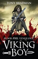 Viking Boy цена и информация | Книги для подростков и молодежи | 220.lv