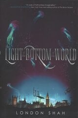 The Light at the Bottom of the World: Light The Abyss #1 цена и информация | Книги для подростков и молодежи | 220.lv
