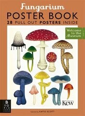 Fungarium Poster Book цена и информация | Книги для подростков и молодежи | 220.lv