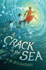 Crack in the Sea cena un informācija | Grāmatas pusaudžiem un jauniešiem | 220.lv