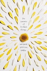 Summer of Broken Things Reprint ed. цена и информация | Книги для подростков и молодежи | 220.lv