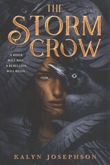 The Storm Crow цена и информация | Книги для подростков и молодежи | 220.lv