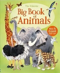 Big Book of Animals UK NEW цена и информация | Книги для малышей | 220.lv