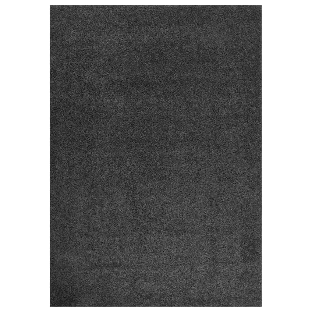 Shaggy tipa paklājs, antracīta, 120x170cm, ar gariem sariem cena un informācija | Paklāji | 220.lv