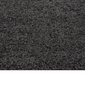 Shaggy tipa paklājs, antracīta, 120x170cm, ar gariem sariem cena un informācija | Paklāji | 220.lv