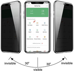 Magnētiskais apvalks priekš iPhone 11 Pro (5,8″) – Sudrabs cena un informācija | Telefonu vāciņi, maciņi | 220.lv