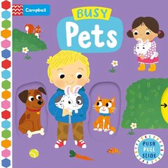 Busy Pets цена и информация | Книги для подростков и молодежи | 220.lv