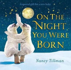 On the Night You Were Born цена и информация | Книги для подростков и молодежи | 220.lv
