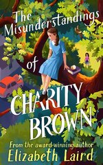 Misunderstandings of Charity Brown цена и информация | Книги для подростков и молодежи | 220.lv