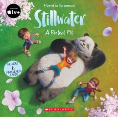 Stillwater: A Perfect Fit cena un informācija | Grāmatas pusaudžiem un jauniešiem | 220.lv