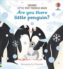 Are you there little penguin? цена и информация | Книги для подростков и молодежи | 220.lv