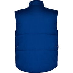 Darba veste ALMANZOR zila cena un informācija | Vīriešu vestes | 220.lv