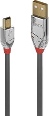 CABLE USB2 A TO MINI-B 3M/CROMO 36633 LINDY цена и информация | Кабели для телефонов | 220.lv