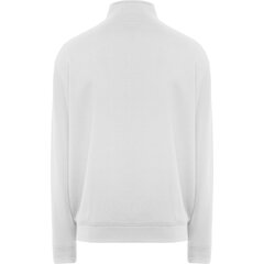 Мужской свитер с молнией ULAN, белый цена и информация | Мужские свитера | 220.lv