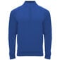 Džemperis EPIRO zils cena un informācija | Vīriešu džemperi | 220.lv