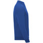 Džemperis EPIRO zils cena un informācija | Vīriešu džemperi | 220.lv