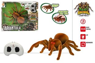 Radiovadāms tarantula 23cm, CB Toys, 4+ цена и информация | Игрушки для мальчиков | 220.lv