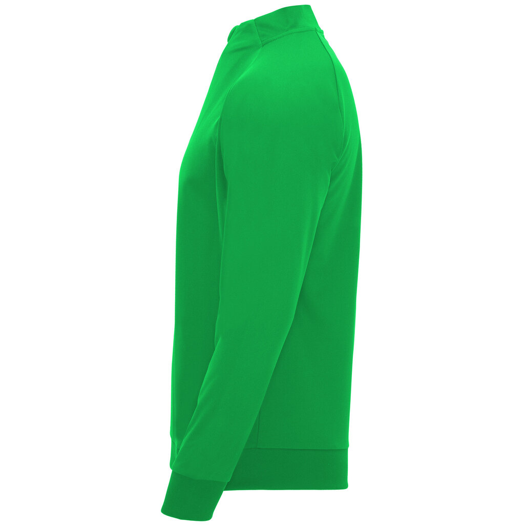 Džemperis EPIRO zaļš цена и информация | Vīriešu džemperi | 220.lv