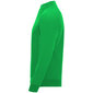 Džemperis EPIRO zaļš cena un informācija | Vīriešu džemperi | 220.lv