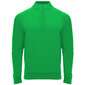 Džemperis EPIRO zaļš цена и информация | Vīriešu džemperi | 220.lv