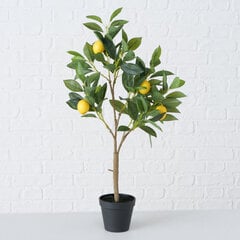 Boltze mākslīgais augs citronkoks, 73 cm cena un informācija | Interjera priekšmeti | 220.lv