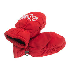 Детские непромокаемые перчатки 1NK-300111-04 цена и информация | Зимняя одежда для детей | 220.lv