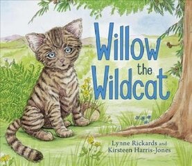 Willow the Wildcat цена и информация | Книги для малышей | 220.lv