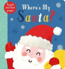 Where's My Santa? цена и информация | Книги для малышей | 220.lv