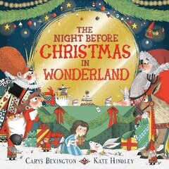 Night Before Christmas in Wonderland cena un informācija | Grāmatas mazuļiem | 220.lv