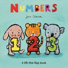 Numbers цена и информация | Книги для самых маленьких | 220.lv