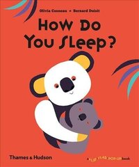 How Do You Sleep? цена и информация | Книги для самых маленьких | 220.lv