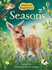 Seasons цена и информация | Книги для самых маленьких | 220.lv