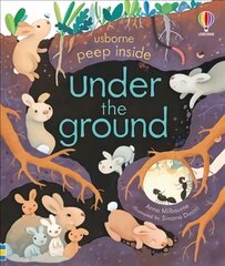 Peep Inside Under the Ground цена и информация | Книги для малышей | 220.lv