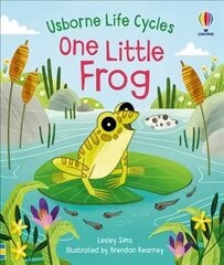 One Little Frog цена и информация | Книги для малышей | 220.lv