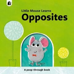 Opposites: A peep-through book цена и информация | Книги для малышей | 220.lv