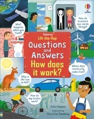 Lift-the-Flap Questions & Answers How Does it Work? цена и информация | Книги для малышей | 220.lv