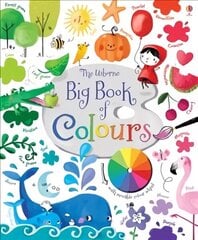 Big Book of Colours UK cena un informācija | Grāmatas mazuļiem | 220.lv