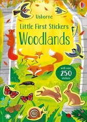 Little First Stickers Woodlands цена и информация | Книги для малышей | 220.lv