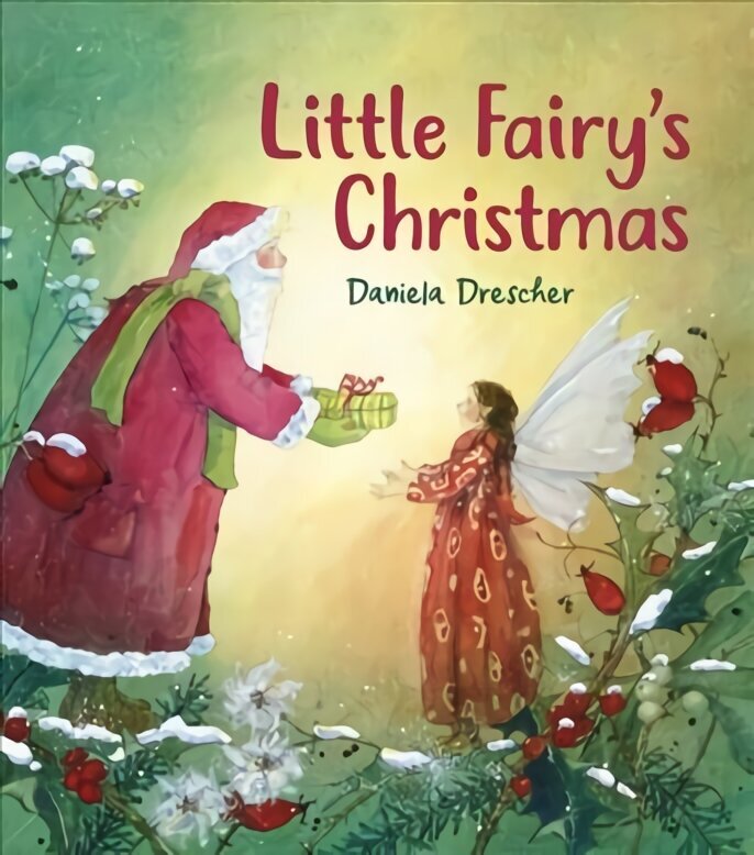 Little Fairy's Christmas 2nd Revised edition cena un informācija | Grāmatas mazuļiem | 220.lv