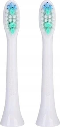 Shona oriģinālais uzgalis priekš Shona ultraskaņas + Oromed Teesa Sarmocare Alfavise zobu birstēm (2gab.) Balta cena un informācija | Uzgaļi elektriskajām zobu birstēm | 220.lv