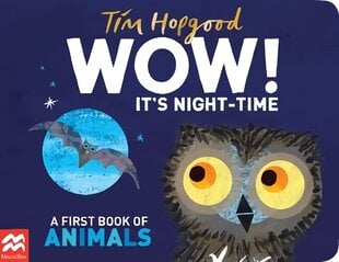 WOW! It's Night-time cena un informācija | Grāmatas mazuļiem | 220.lv